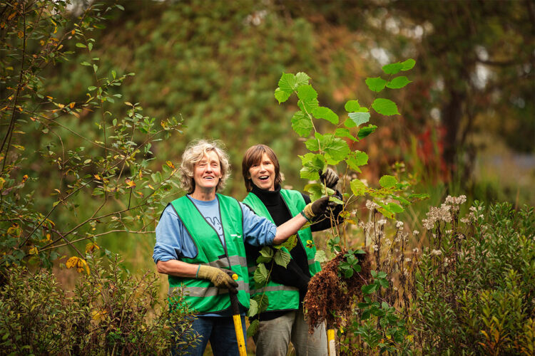 Adopteer een boompje!