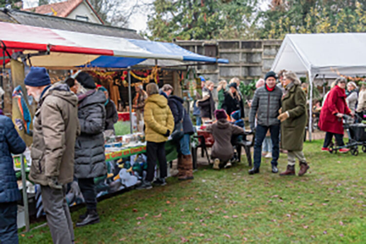 Kerstmarkt Pinetum