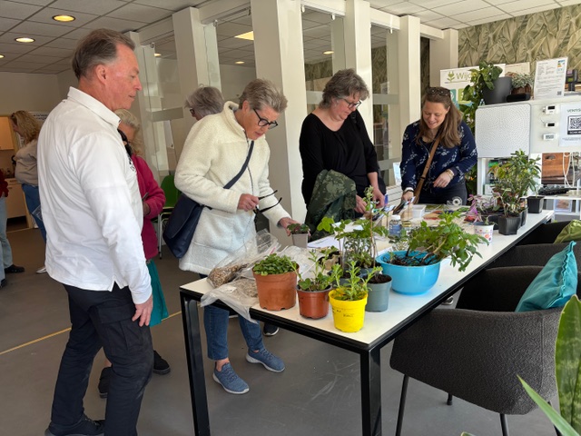 Zadenbieb, Planten- en stekjesruilmarkt