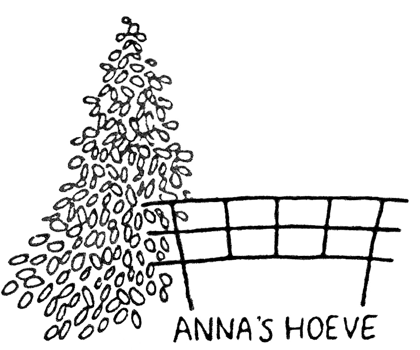 Vereniging tot Behoud van Anna's Hoeve