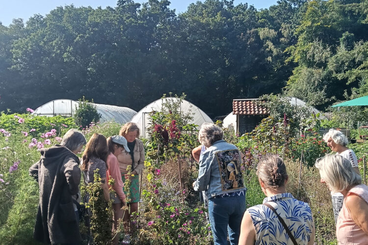 Odess x Bodemvrucht workshop Paardenbloem