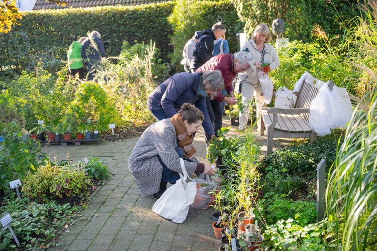 Plantenmarkt Costerustuin