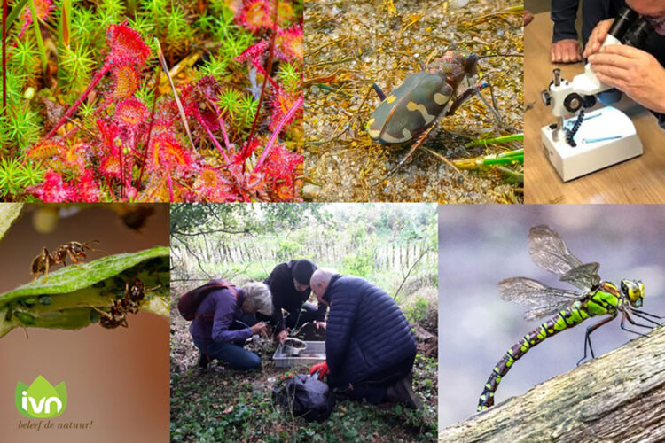 Natuurfestival van de Verwondering – slotdag NGO