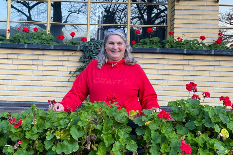 Dudok Geranium Actie 2025