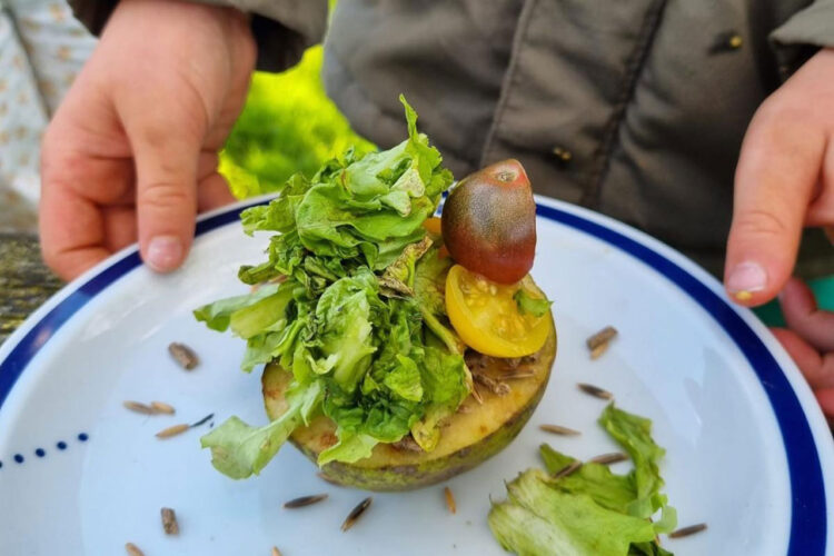 Meehelpmiddag & gratis lunch