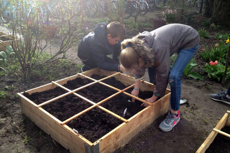 Pop-up Moestuin Wegaplein