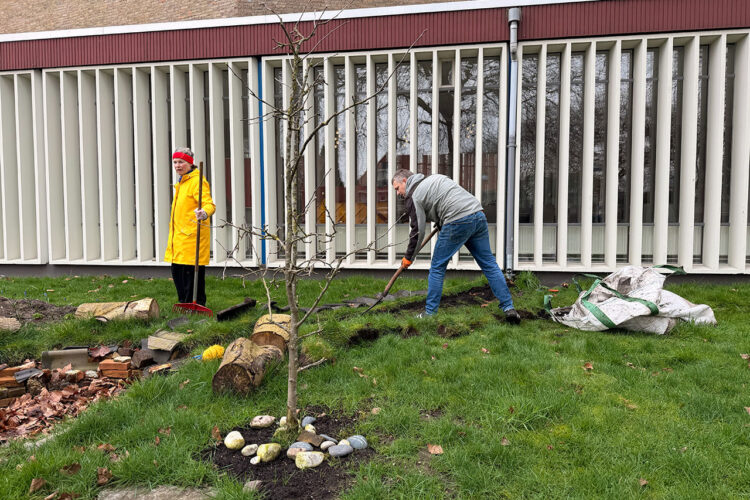 Samenwerken in de Buurttuin van De Lichtbron