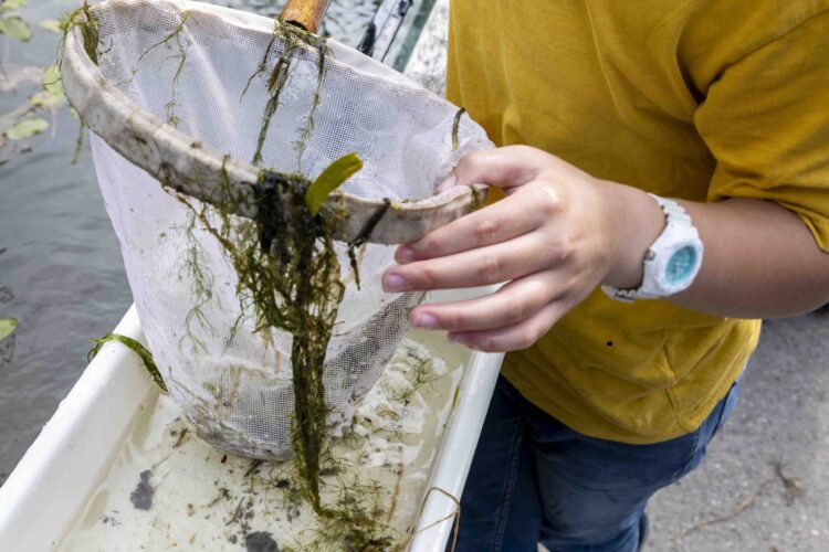 Natuurmonumenten – OERRR Watersafari in ’s-Graveland