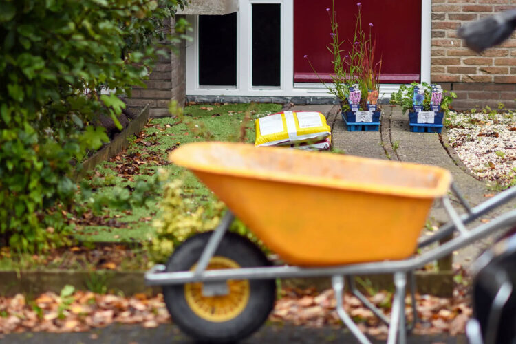 Webinar ‘Zet je buurt in bloei’