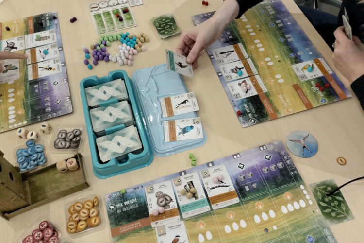 Faunafans spelletjesavond