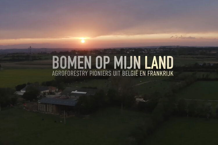 Film: Bomen op mijn land – duurzame landbouw en natuur