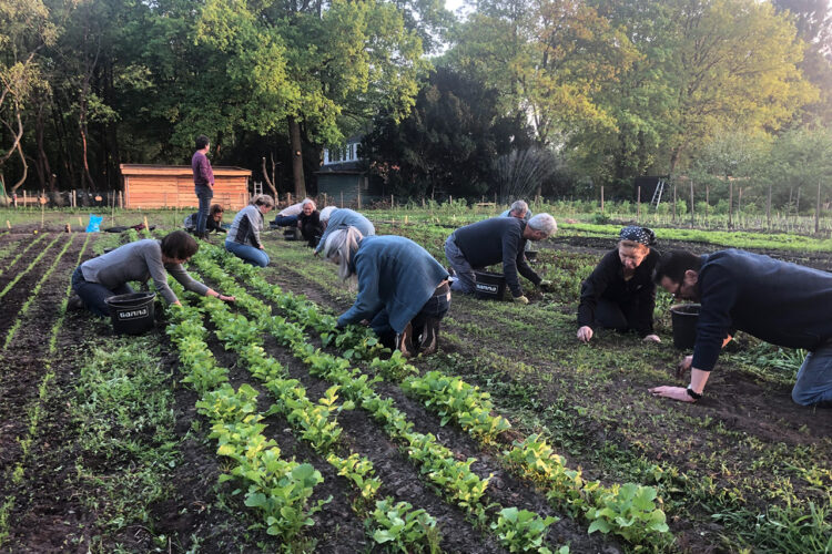 Odess Saladewandeling