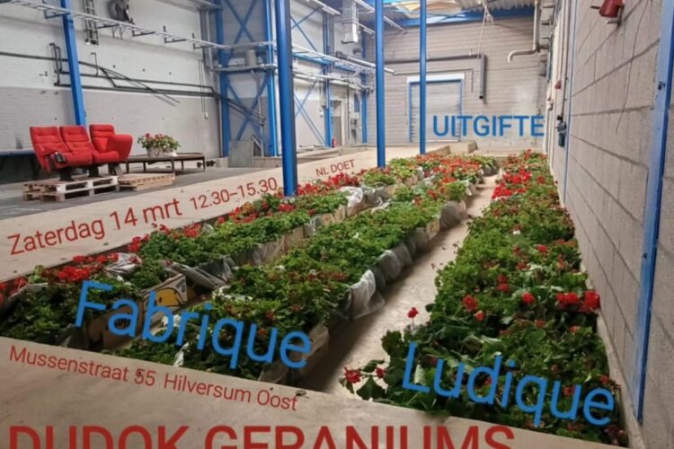 Dudok Geraniums – Gratis op te halen