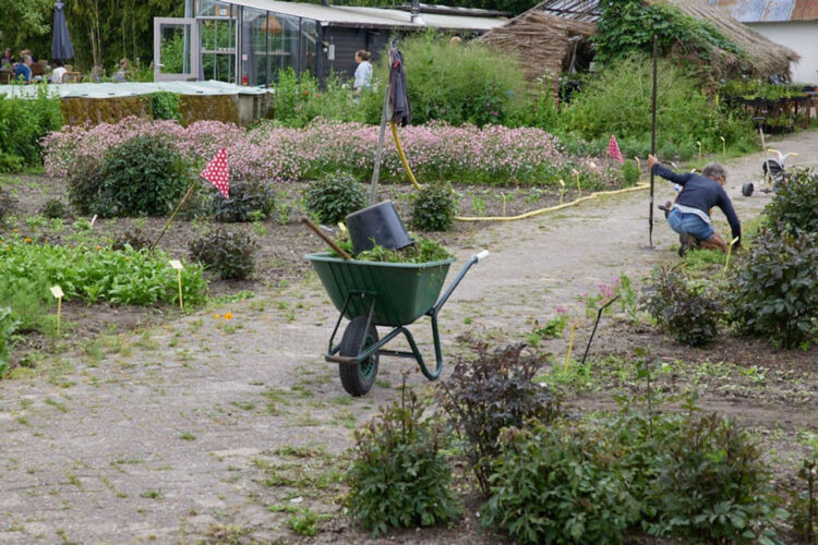 Een dagje klussen bij Land- en Boschzigt!
