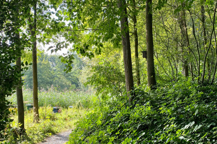 Expeditie Media Natuurpark