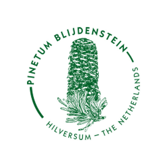 Pinetum Blijdenstein