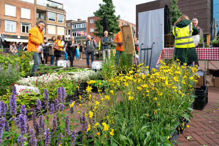 Najaars Plantenruilbeurs Hoflaan 6