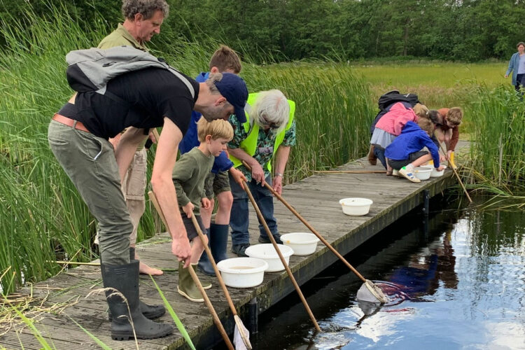 Slootjesdag 2026: op avontuur in Cruysbergen