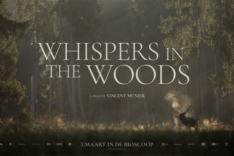 Bosbios: Whispers in the Woods